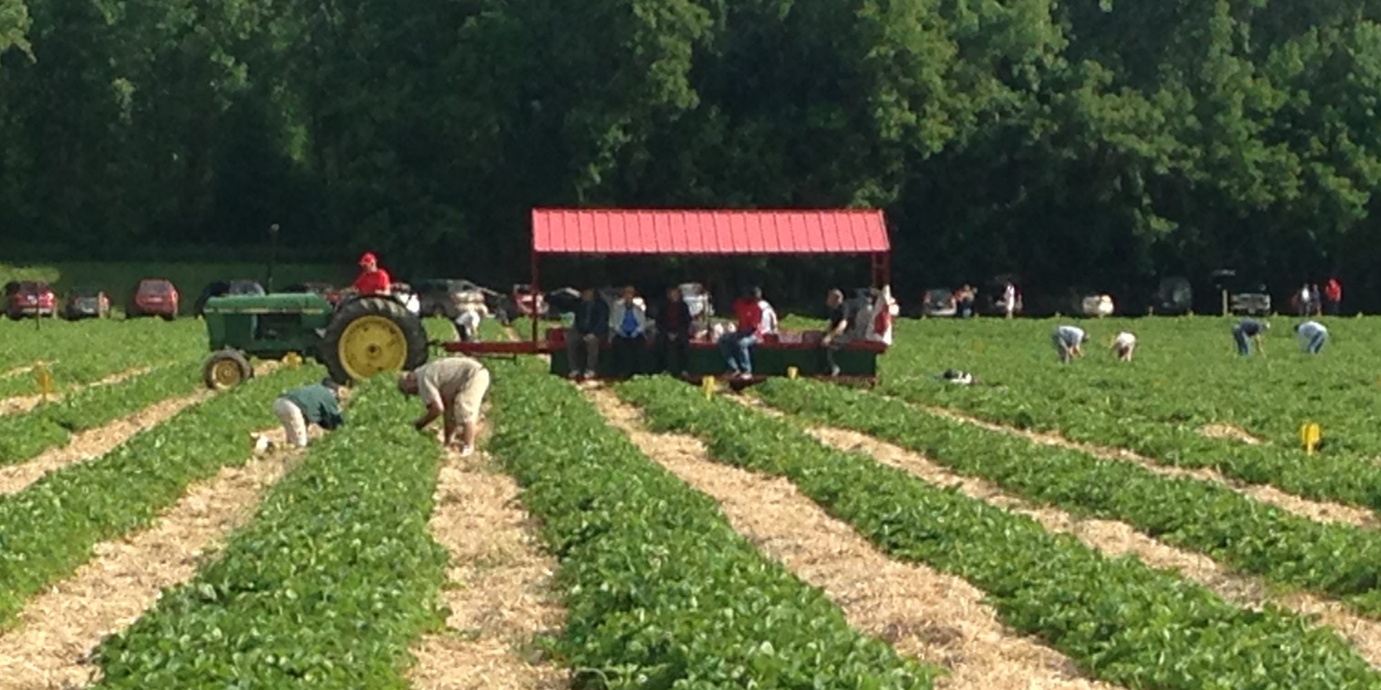 Photo of tractor in field