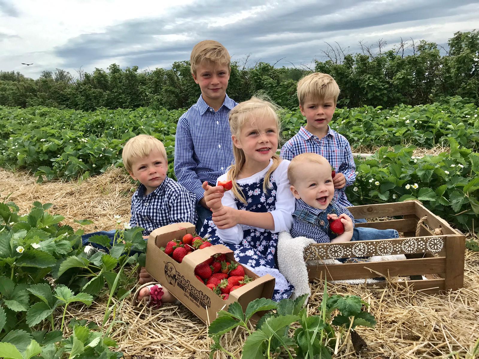 Friedensfeld Honey & Berry Farm LTD. - Prairie Fruit Growers